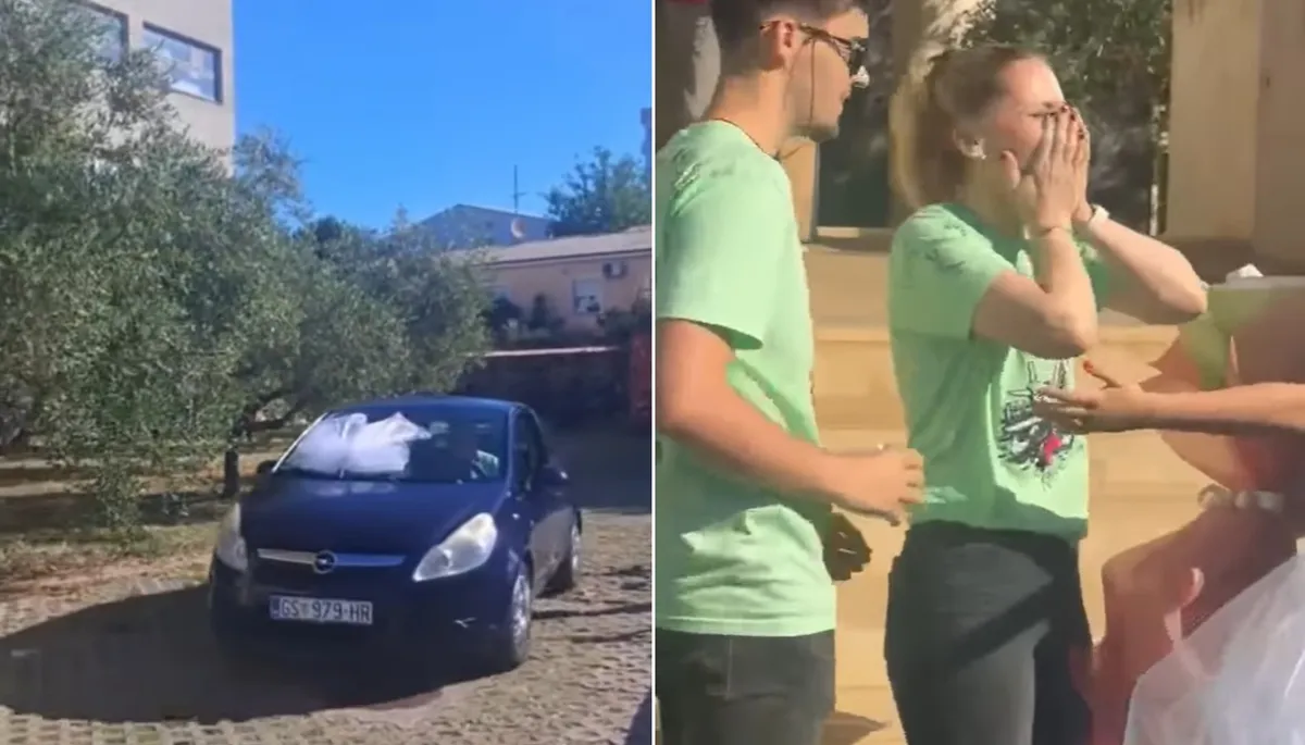 Slika članka
