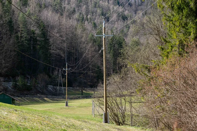Slika članka