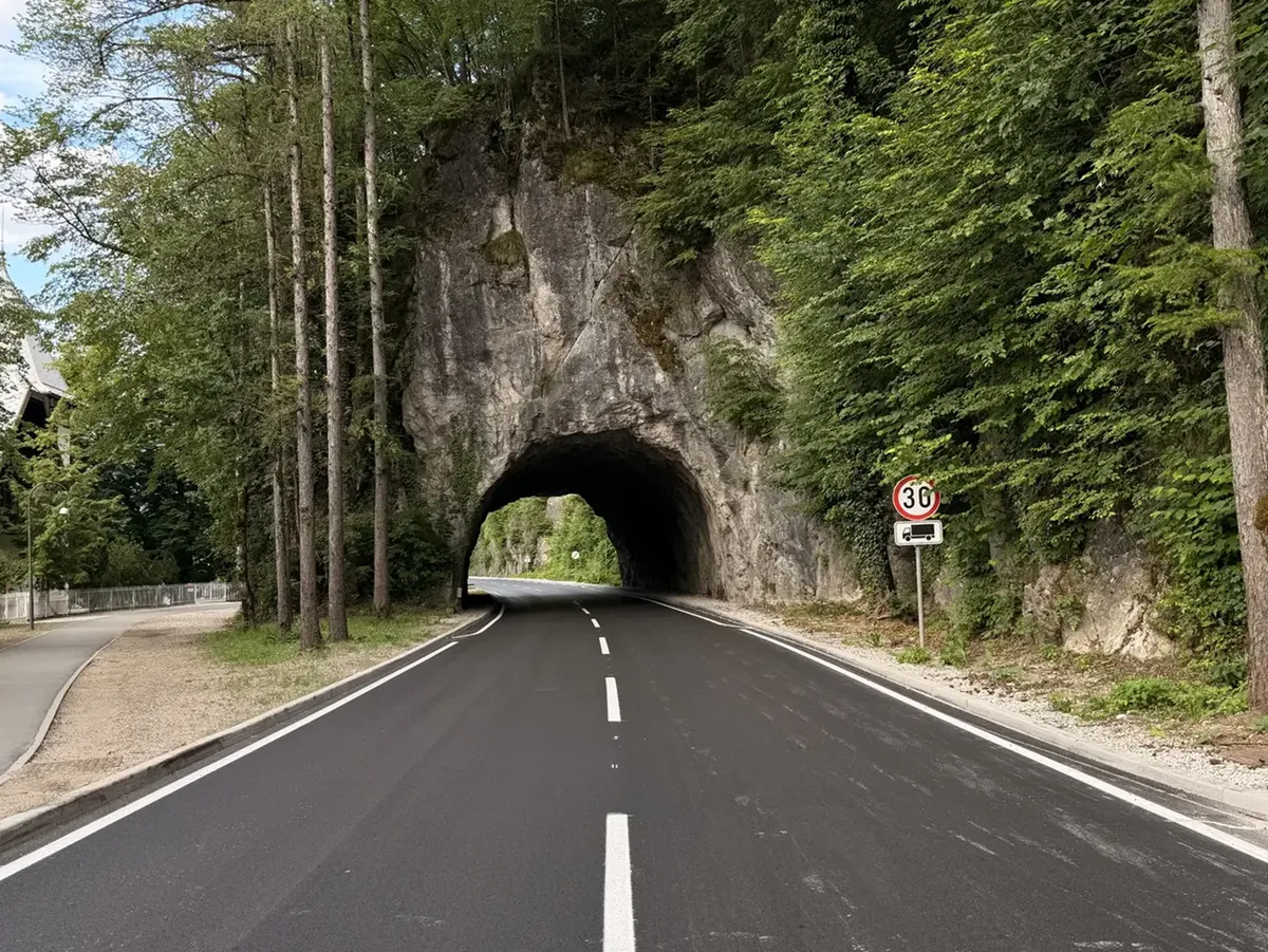 Slika članka