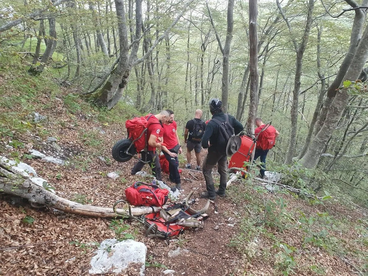 Slika članka