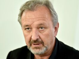 Slika članka