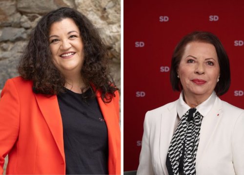 Slika članka