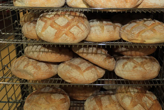Slika članka