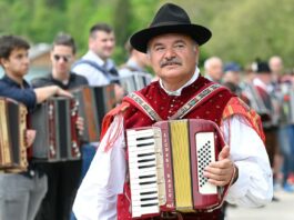 Slika članka
