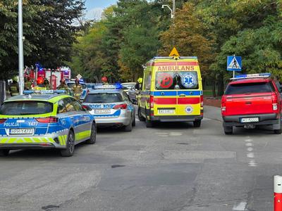 Slika članka