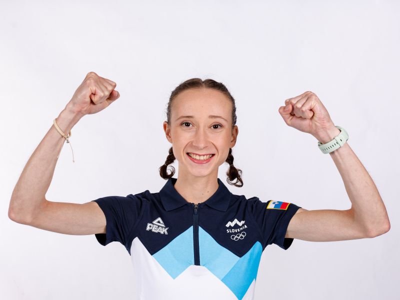 Slika članka