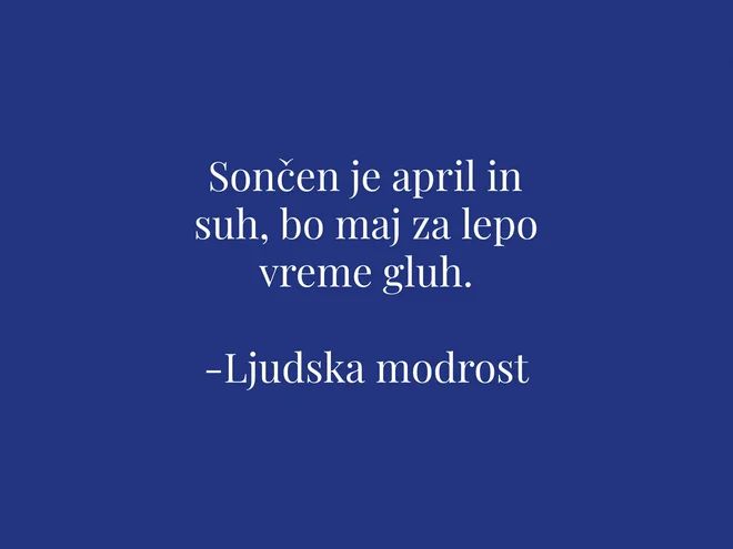 Slika članka