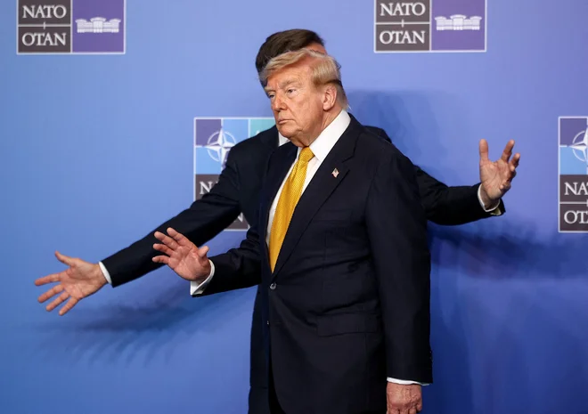 Slika članka