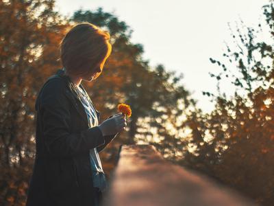 Slika članka