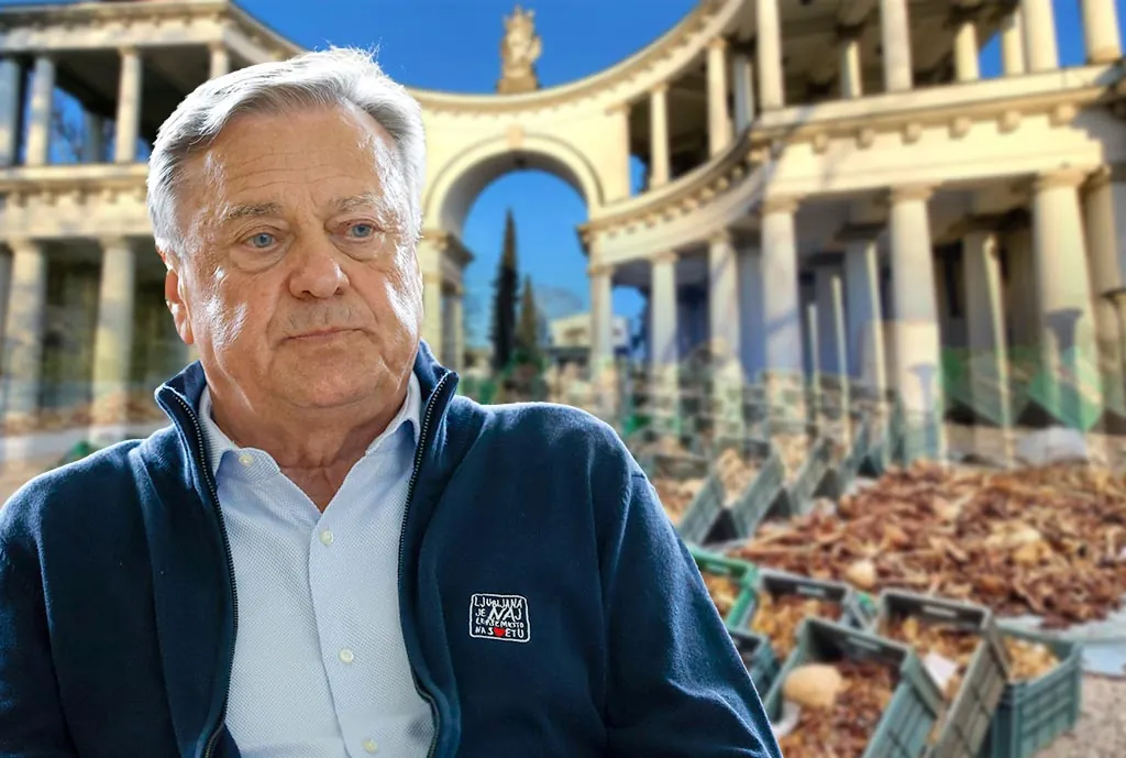Slika članka