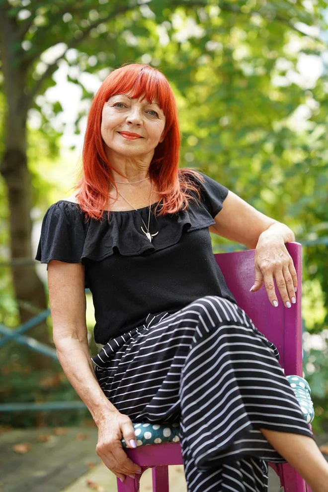 Slika članka