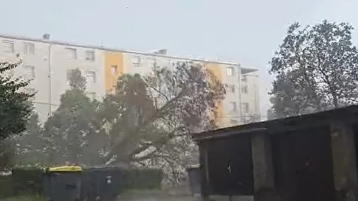 Slika članka