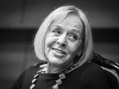 Slika članka