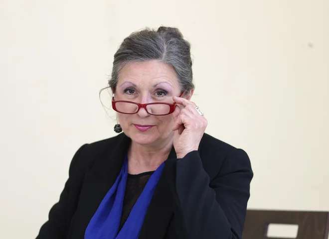 Slika članka
