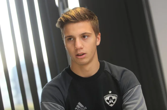 Slika članka