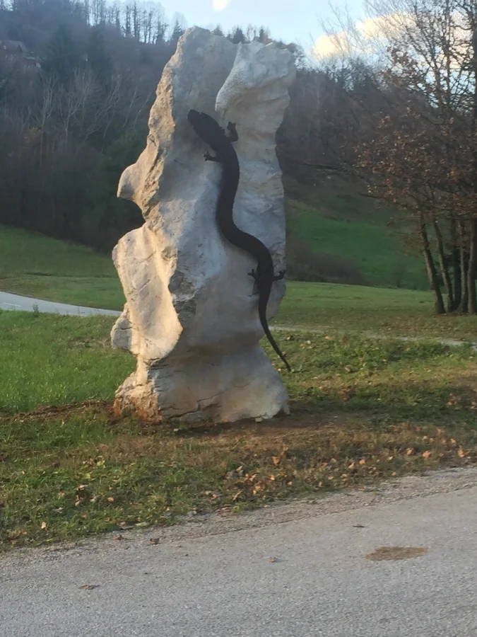 Slika članka