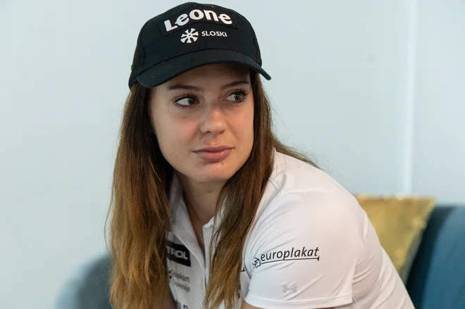 Slika članka