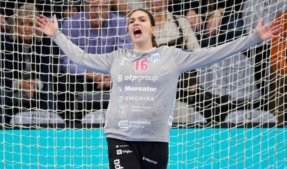 Slika članka