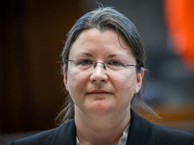Slika članka
