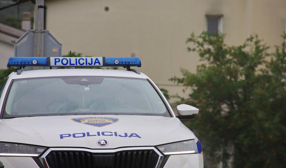 Slika članka