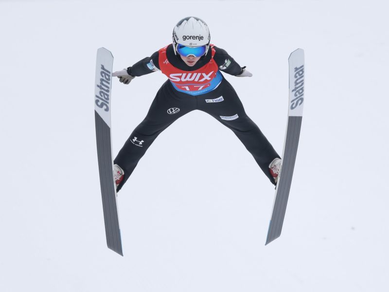 Slika članka