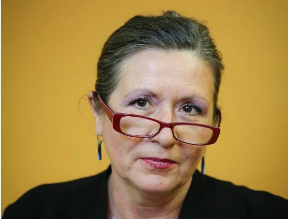 Slika članka