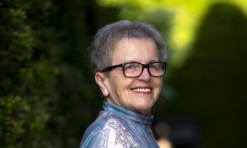 Slika članka