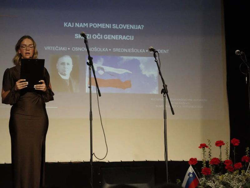 Slika članka