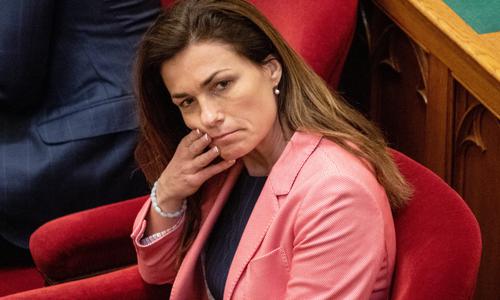 Slika članka