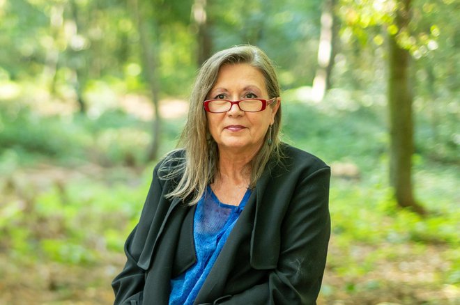 Slika članka