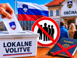 Slika članka