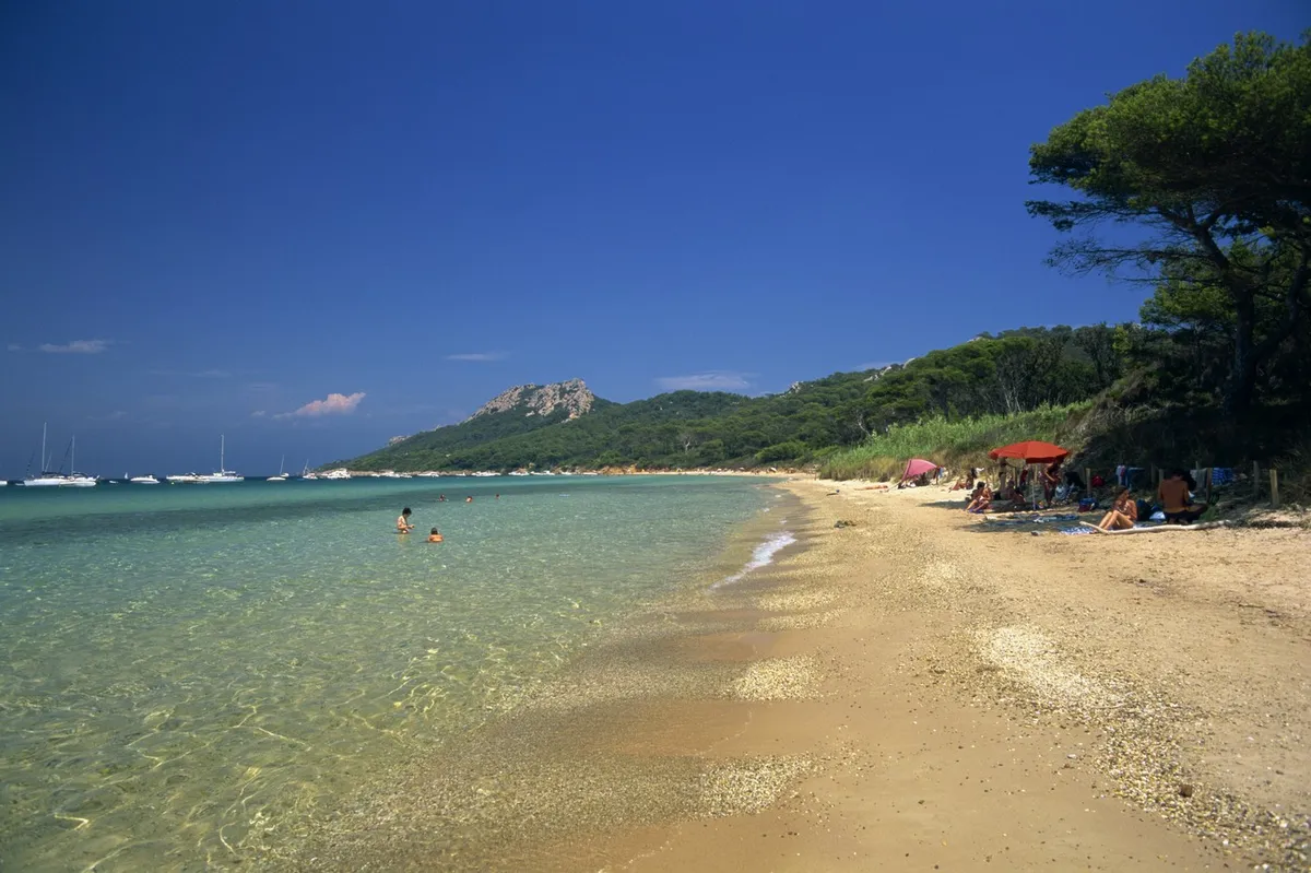 Slika članka
