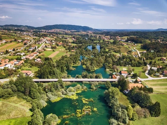 Slika članka