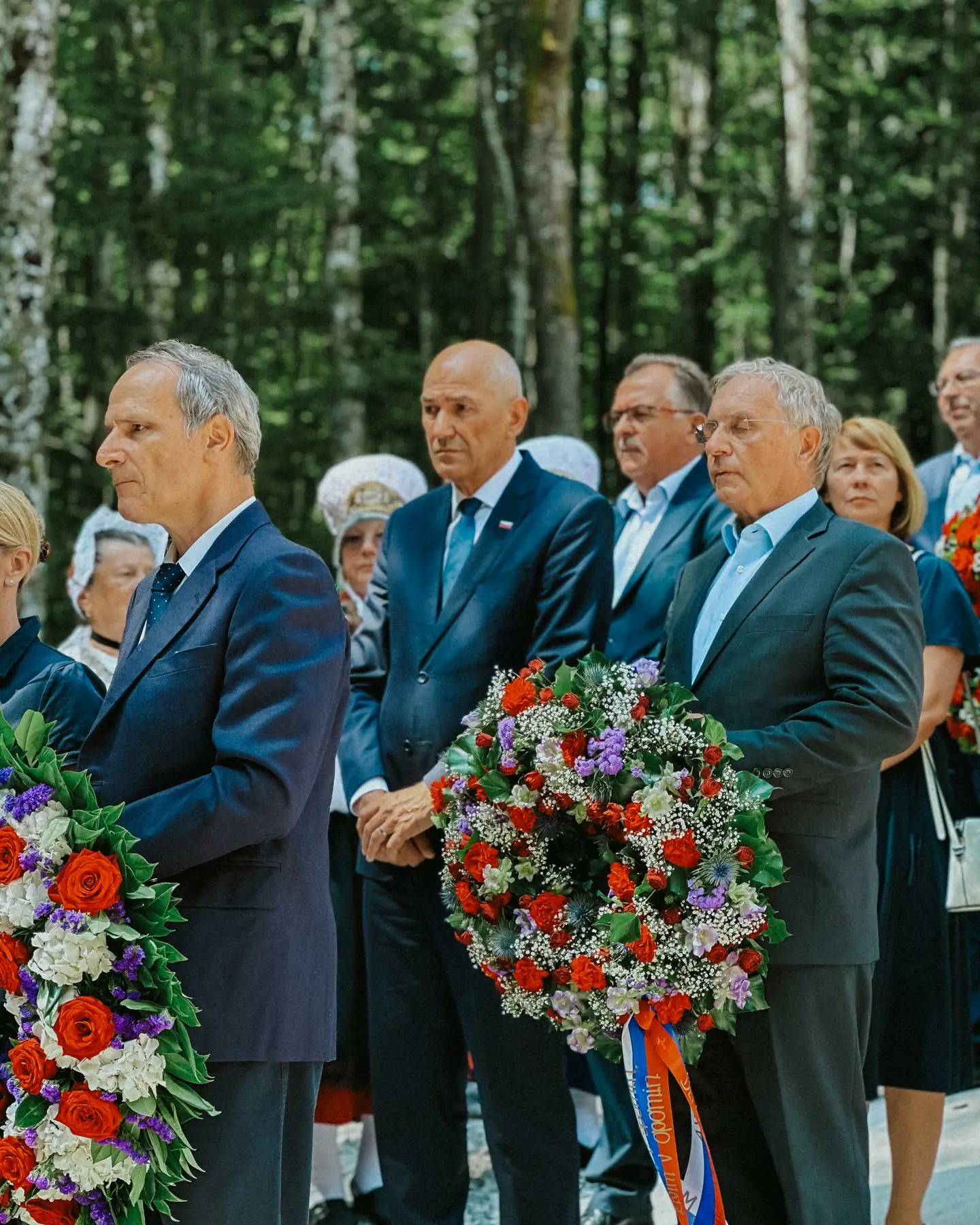 Slika članka
