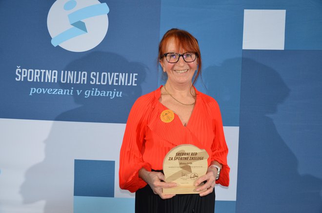 Slika članka