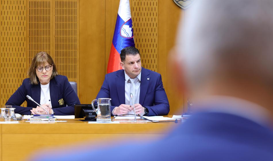 Slika članka