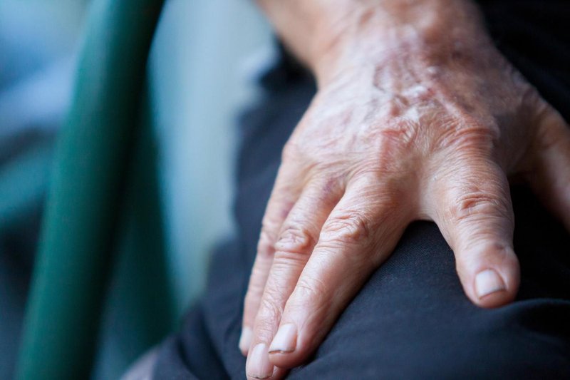 Slika članka
