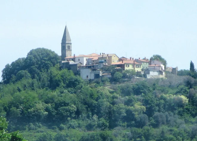 Slika članka