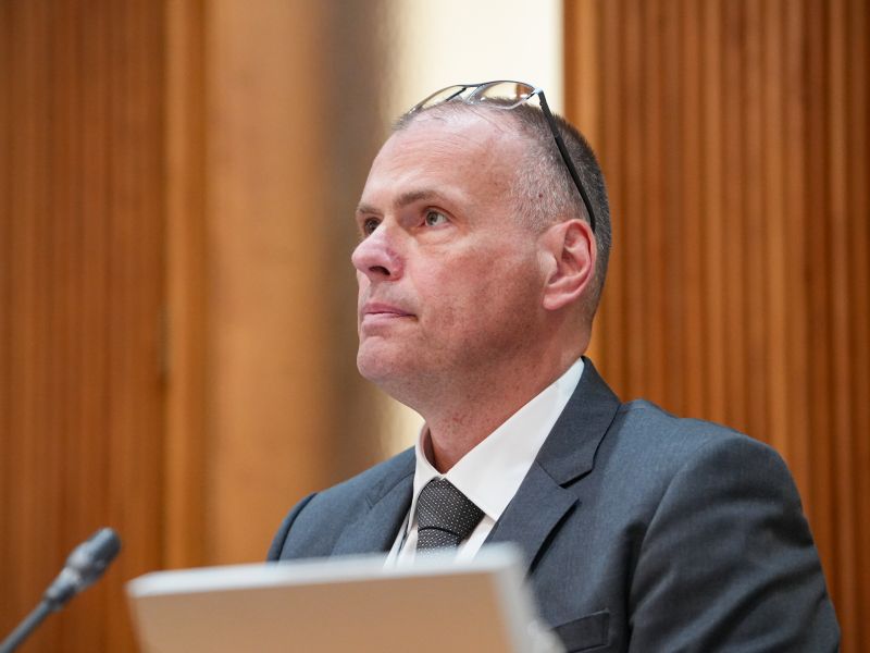 Slika članka