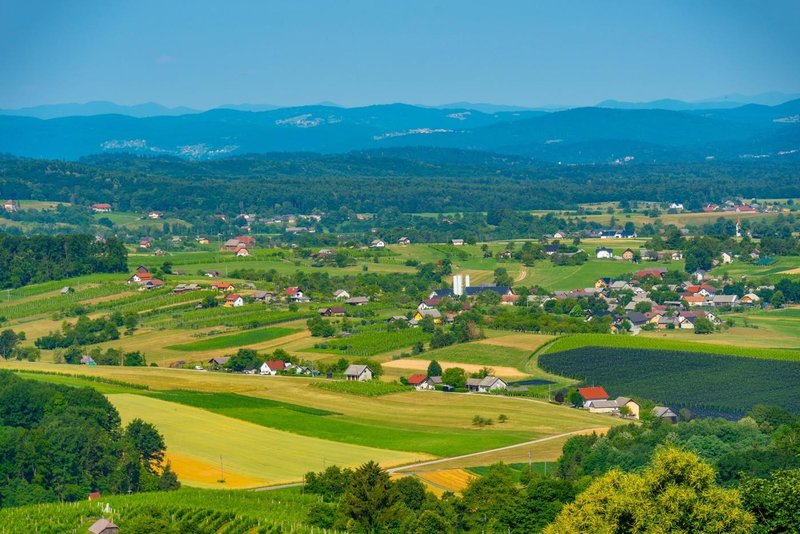 Slika članka