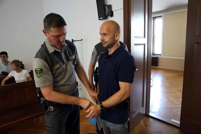 Slika članka