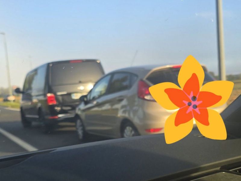 Slika članka