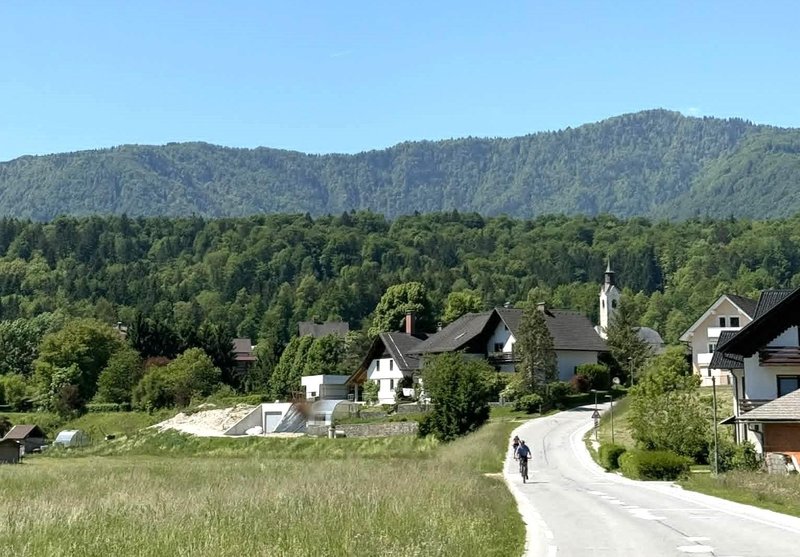 Slika članka