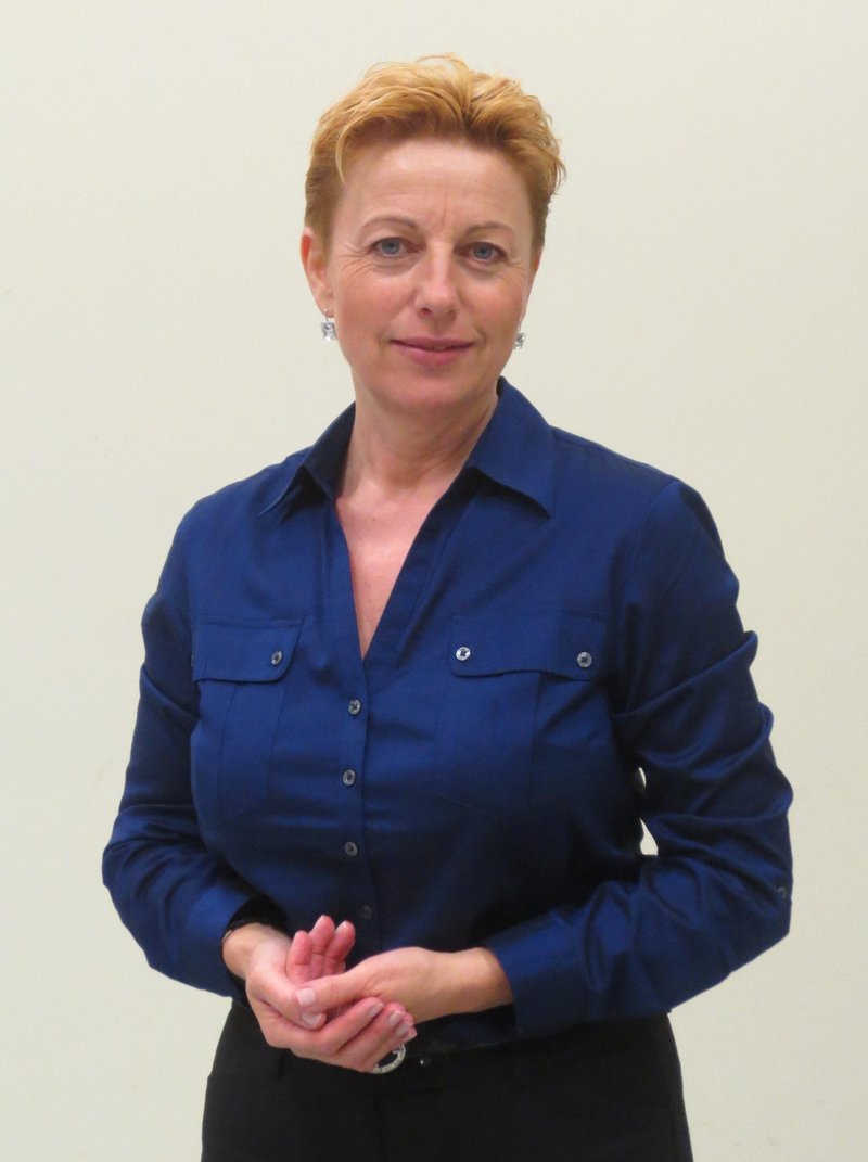 Slika članka