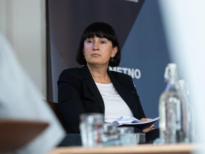 Slika članka