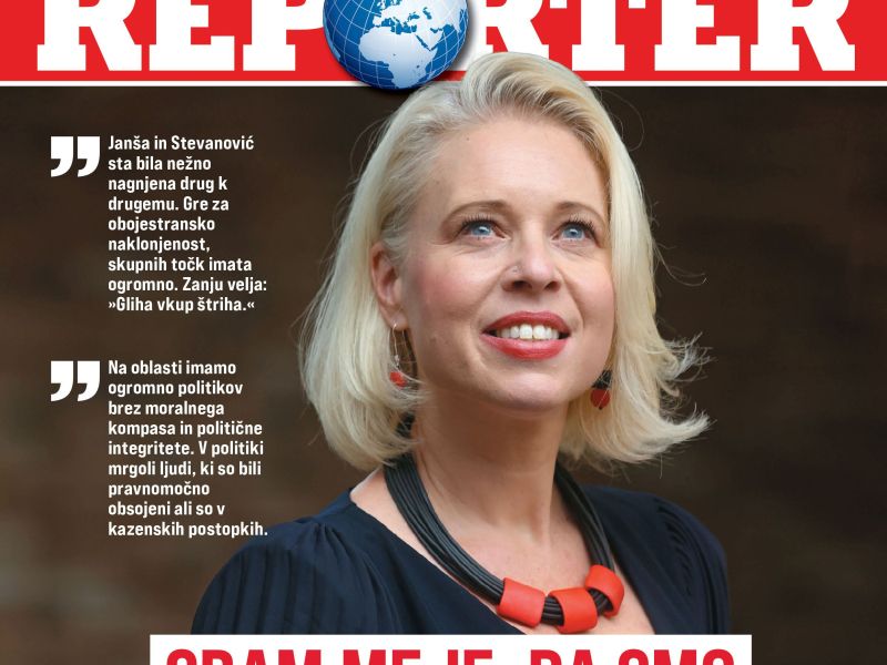 Slika članka