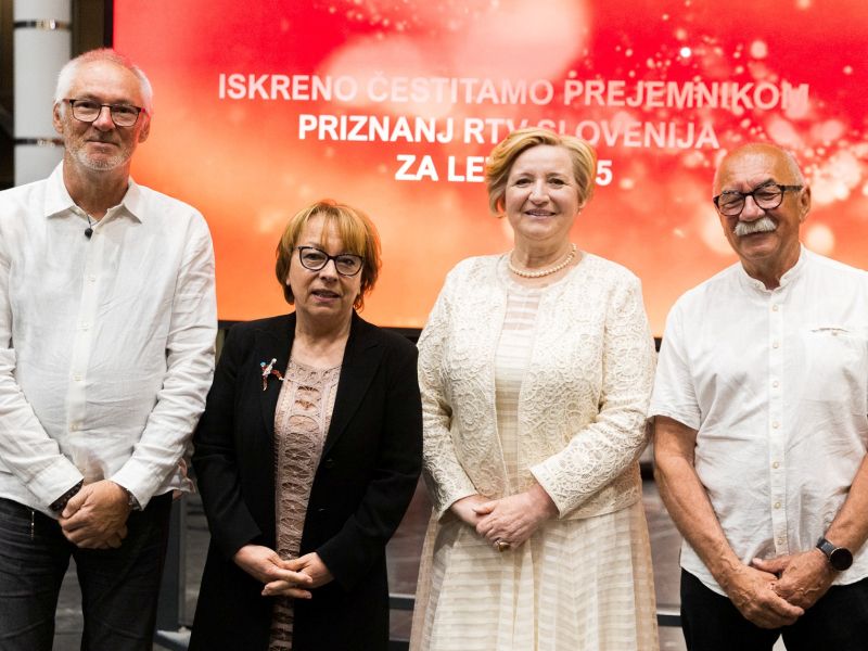 Slika članka