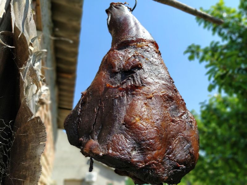 Slika članka