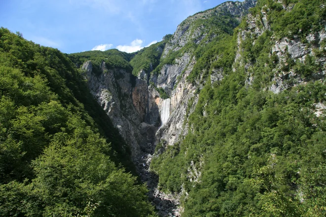 Slika članka