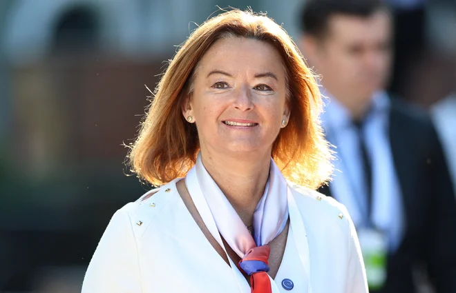 Slika članka